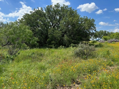 Home Lot 1018 Kings Point Cove Resort Brownwood Brown Texas - image 4