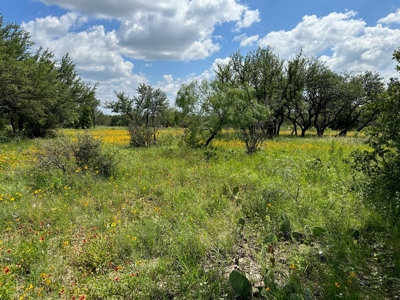 Home Lot 1018 Kings Point Cove Resort Brownwood Brown Texas - image 3