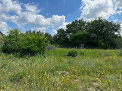 Home Lot 1018 Kings Point Cove Resort Brownwood Brown Texas - image 7