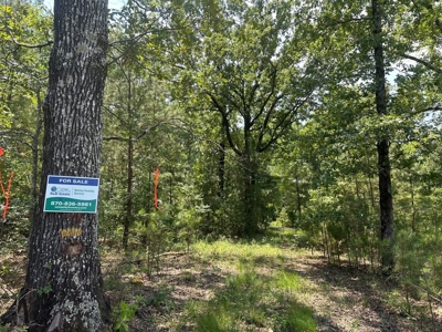 Lafayette County - Bradley, AR - Land for Sale! - image 2