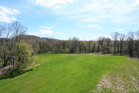 100+/- Acre Farm - Pasture - Woodland - Barn - Dunnville, Ky - image 3