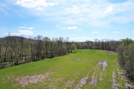 100+/- Acre Farm - Pasture - Woodland - Barn - Dunnville, Ky - image 2