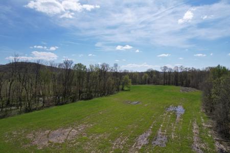 100+/- Acre Farm - Pasture - Woodland - Barn - Dunnville, Ky - image 1