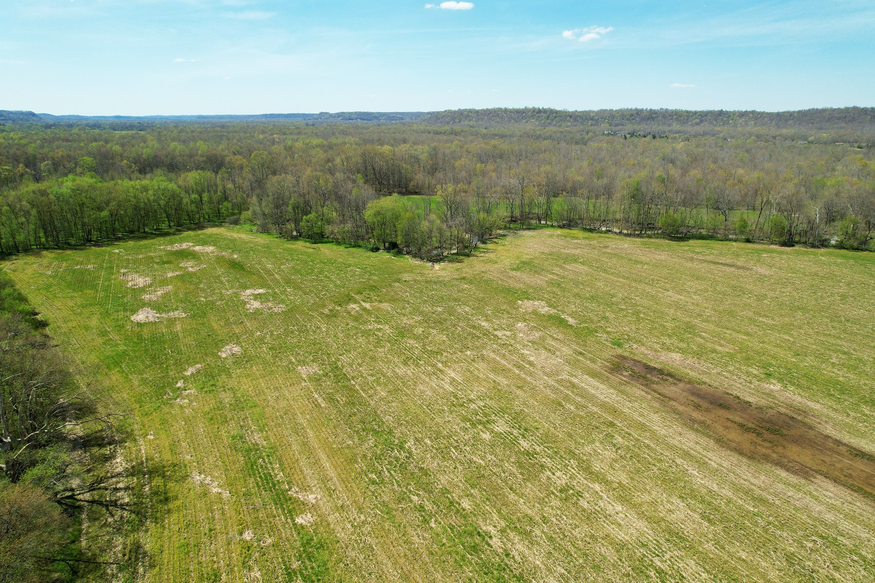 100+/- Acre Farm - Pasture - Woodland - Barn - Dunnville, Ky - image 5