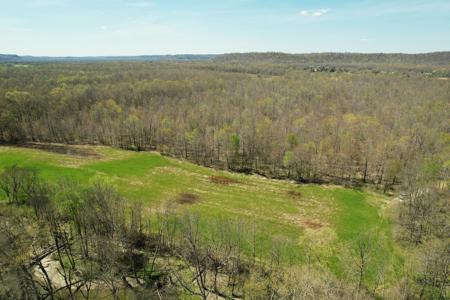 100+/- Acre Farm - Pasture - Woodland - Barn - Dunnville, Ky - image 6