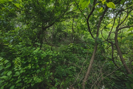 Commercial Property for Sale in Christiansburg VA! - image 8