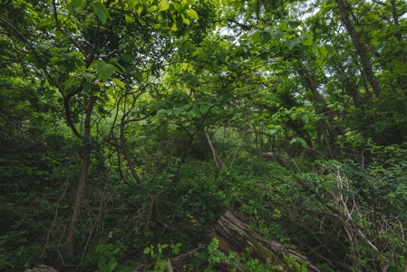 Commercial Property for Sale in Christiansburg VA! - image 7