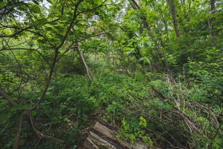 Commercial Property for Sale in Christiansburg VA! - image 9
