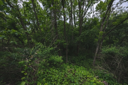 Commercial Property for Sale in Christiansburg VA! - image 6
