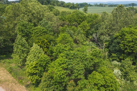 Commercial Property for Sale in Christiansburg VA! - image 3