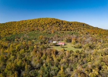 Ozark Mountain Large Farm Acreage with Creek for Sale - image 6