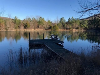 Ozark Mountain Large Farm Acreage with Creek for Sale - image 7