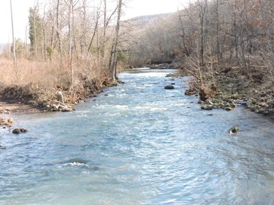 Ozark Mountain Large Farm Acreage with Creek for Sale - image 2