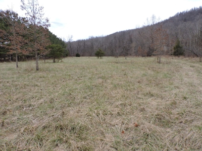 Ozark Mountain Large Farm Acreage with Creek for Sale - image 47