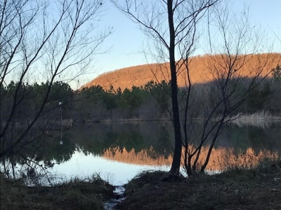 Ozark Mountain Large Farm Acreage with Creek for Sale - image 38