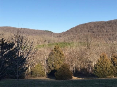 Ozark Mountain Large Farm Acreage with Creek for Sale - image 48