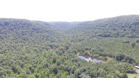 Ozark Mountain Large Farm Acreage with Creek for Sale - image 9