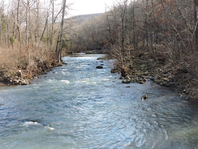Ozark Mountain Large Farm Acreage with Creek for Sale - image 40