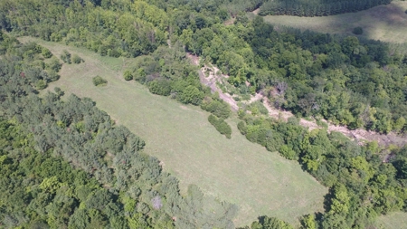 Ozark Mountain Large Farm Acreage with Creek for Sale - image 8