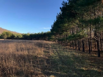 Ozark Mountain Large Farm Acreage with Creek for Sale - image 42