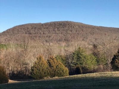 Ozark Mountain Large Farm Acreage with Creek for Sale - image 43