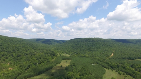 Ozark Mountain Large Farm Acreage with Creek for Sale - image 4