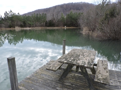 Ozark Mountain Large Farm Acreage with Creek for Sale - image 37