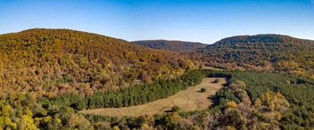 Ozark Mountain Large Farm Acreage with Creek for Sale - image 32