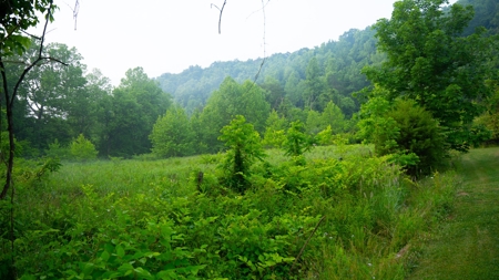 Gallia County Ohio land for sale - image 28