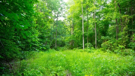 Gallia County Ohio land for sale - image 18