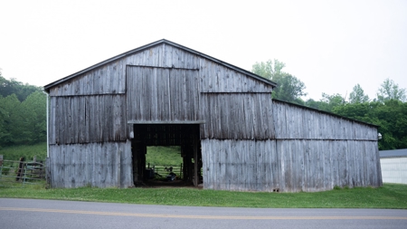 Gallia County Ohio land for sale - image 13