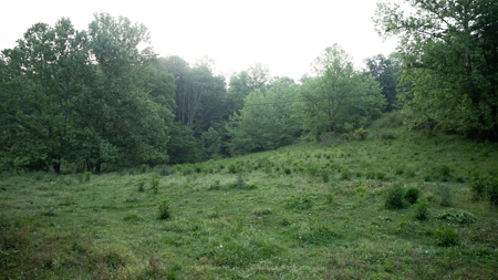 Gallia County Ohio land for sale - image 15