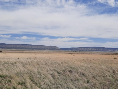 Rural 37 acre fenced parcel in Northern AZ - image 1