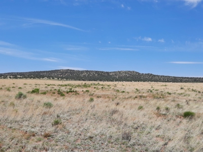 Rural 37 acre fenced parcel in Northern AZ - image 3