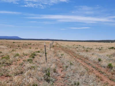 Rural 37 acre fenced parcel in Northern AZ - image 2