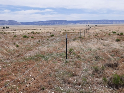 Rural 37 acre fenced parcel in Northern AZ - image 5