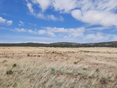 Rural 37 acre fenced parcel in Northern AZ - image 4