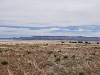 Rural 37 acre fenced parcel in Northern AZ - image 6