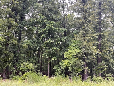 2 Cherokee Village  AR lots for sale - image 1