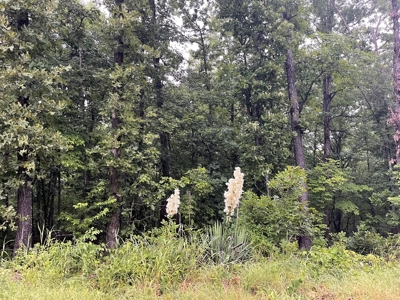 2 Cherokee Village  AR lots for sale - image 4