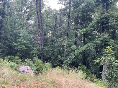 2 Cherokee Village  AR lots for sale - image 6
