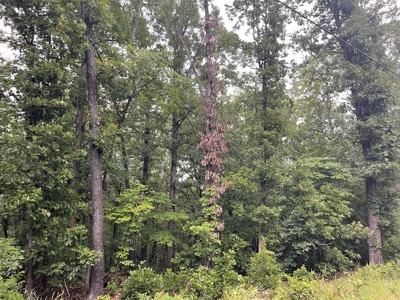 2 Cherokee Village  AR lots for sale - image 5