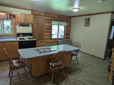 Lovely Amish Built Log Home in NW Montana - image 35