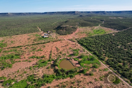 Texas High-Fenced Hunting Ranch near San Angelo and Midland - image 29
