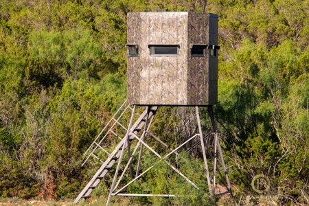Texas High-Fenced Hunting Ranch near San Angelo and Midland - image 4
