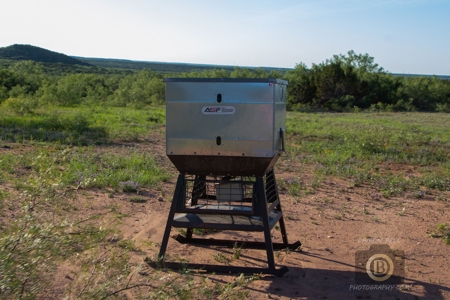 Texas High-Fenced Hunting Ranch near San Angelo and Midland - image 5