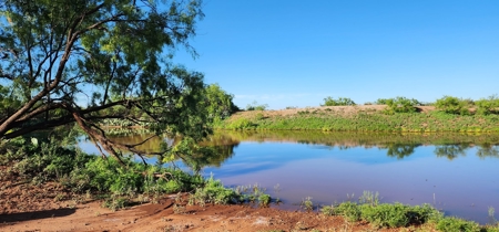 Texas High-Fenced Hunting Ranch near San Angelo and Midland - image 7