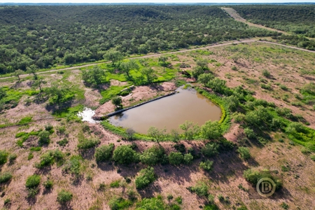 Texas High-Fenced Hunting Ranch near San Angelo and Midland - image 2