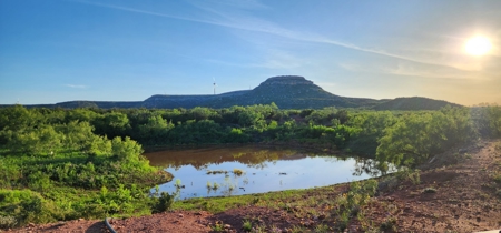 Texas High-Fenced Hunting Ranch near San Angelo and Midland - image 8