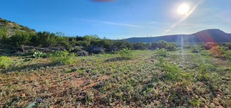 Texas High-Fenced Hunting Ranch near San Angelo and Midland - image 27